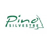 Pino Silvestre